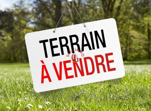 Agence immobilière de Silvia Immo