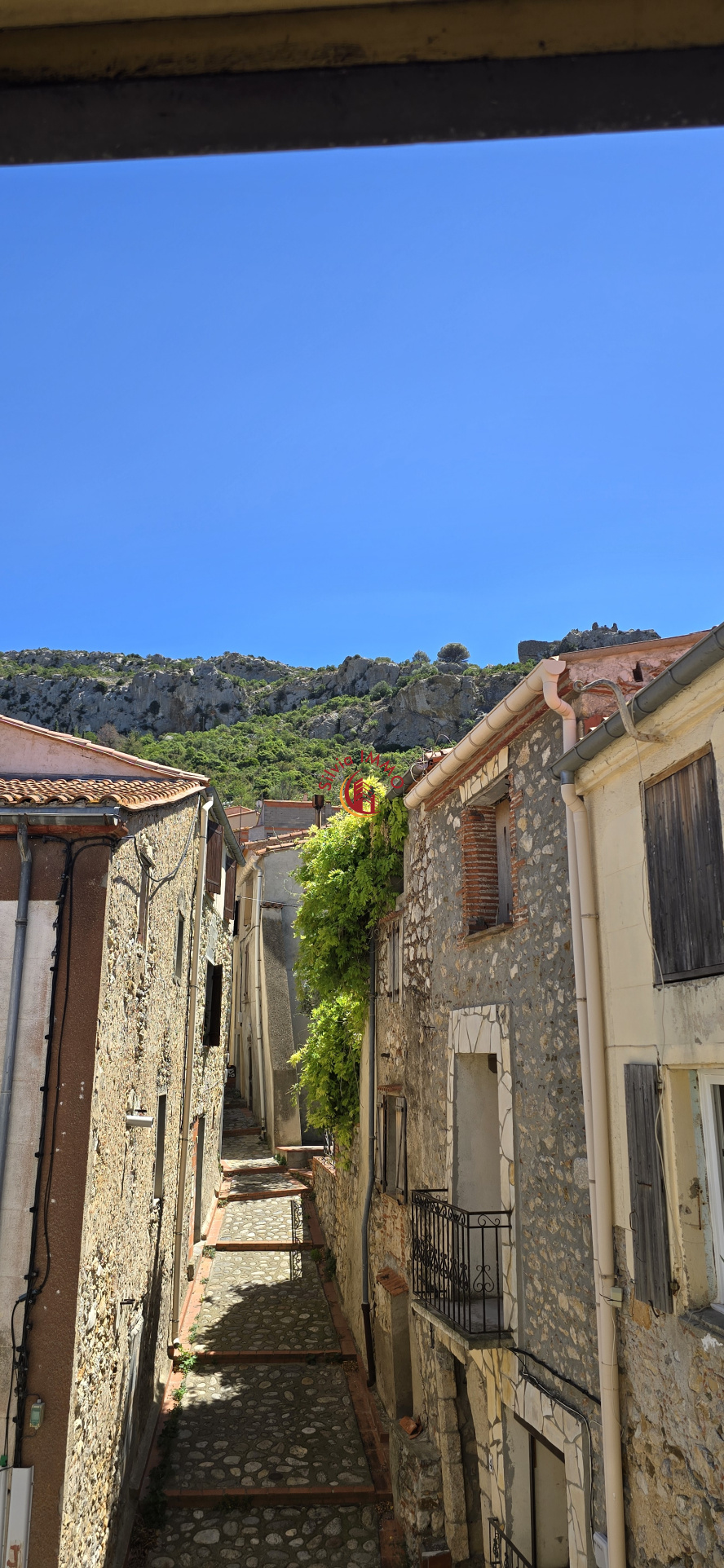 Agence immobilière de Silvia Immo